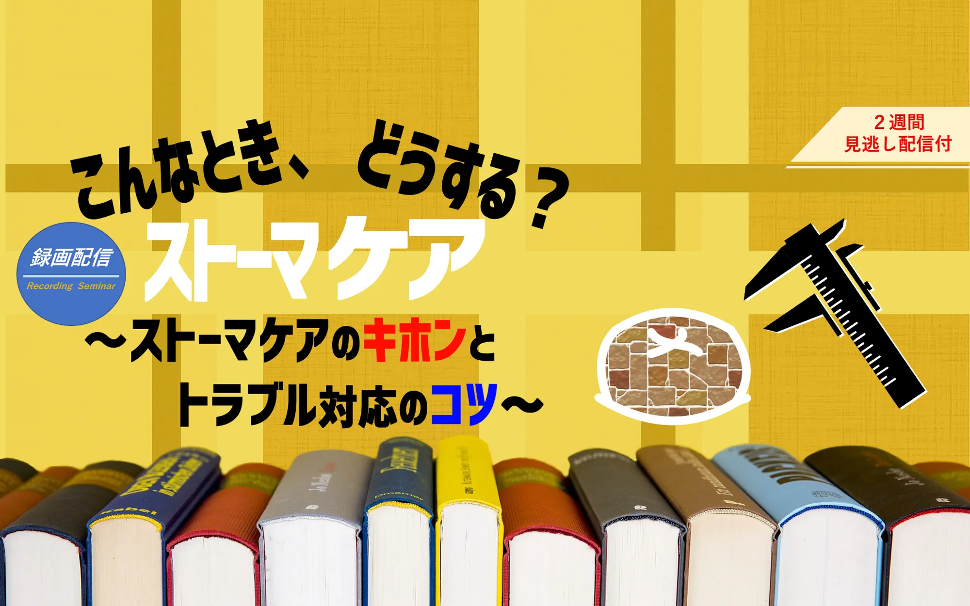 ストーマケアの基礎とトラブル対応のコツ！_看護セミナー