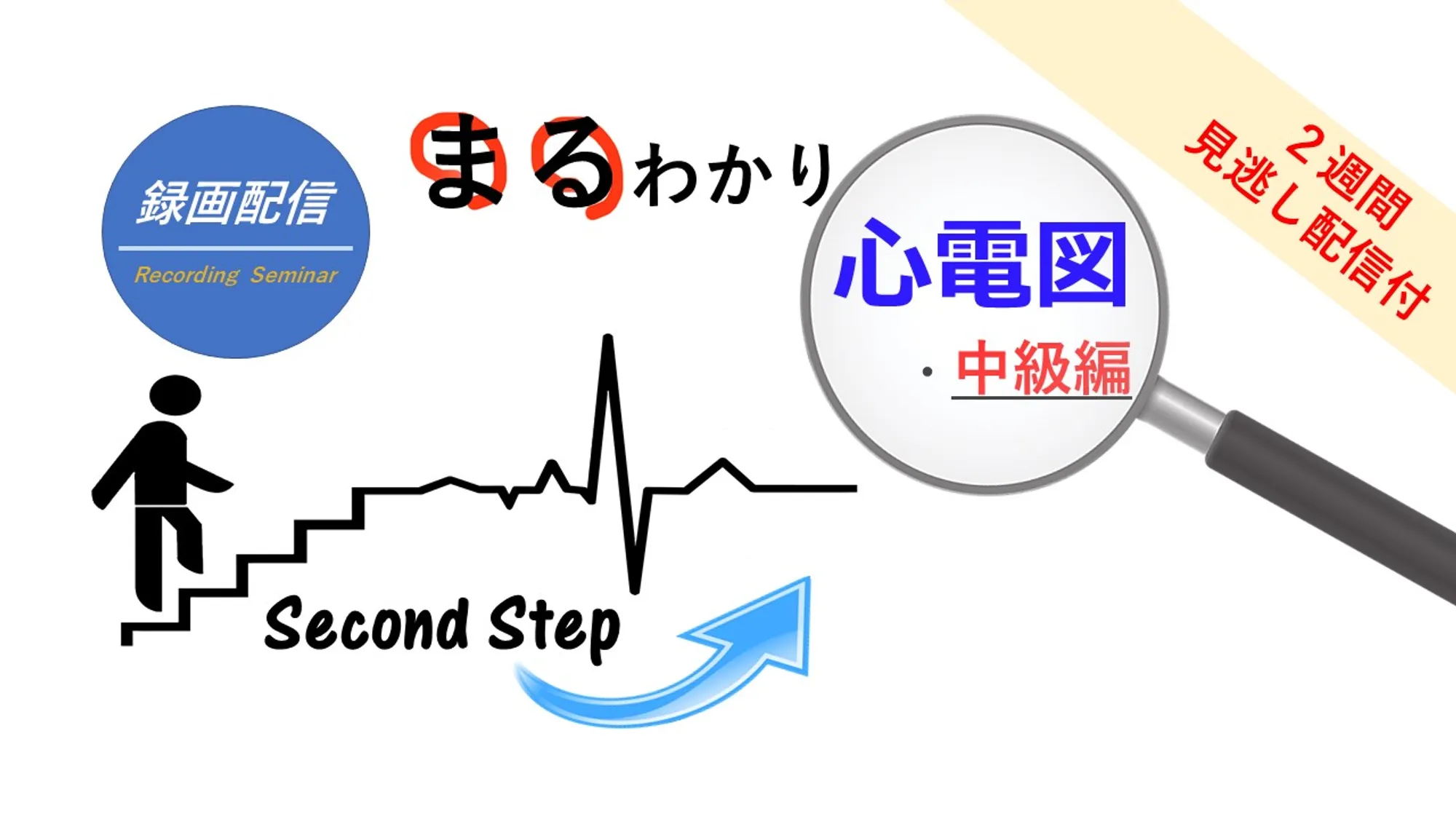 まるわかり心電図 中級編_看護セミナー